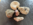 Mineralien und Ammonit